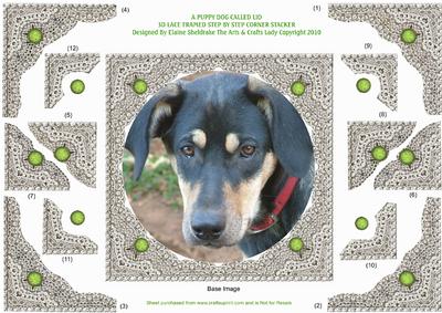 A Puppy Dog Called Lio 3D Lace Framed Corner Stacker