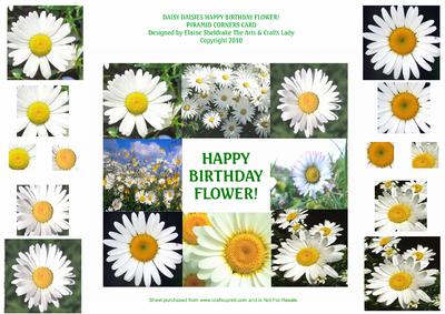 Daisy Daisies - Happy Birthday Flower! - Pyramid Corners
