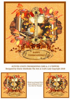 Autumn Leaves Thanksgiving Card & 2 x Toppers or Tags
