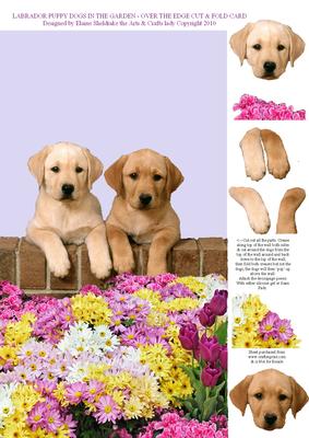 Labrador Puppy Dogs in the Garden - Over the Edge Cut & Fold