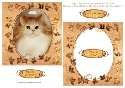 Topaz the Kitty Cat Quick Decoupage Card Front