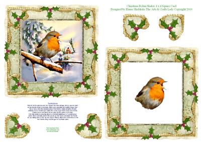 Christmas Robin Shaker 4 x 4 Square Card