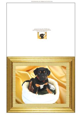 Zeus the Rotti Puppy Dog - Quick Cut & Fold Photo Card