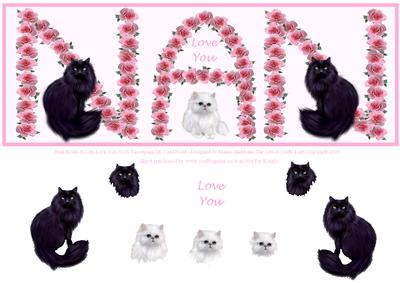 Pink Roses & Kitty Cats Love You Nan Decoupage Dl Card Front