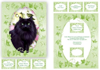 Lucky Black Cat 2 x Ivy Leaf Frames & 8 x Sentiments