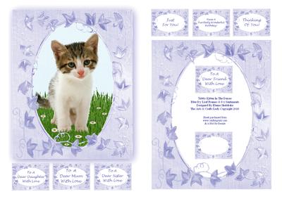 Tabby Kitten in the Daises Blue Ivy Leaf Frames & 8 x Tags