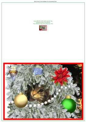 Lucy Kitty Cat in the Christmas Tree Quick Cut & Fold Card