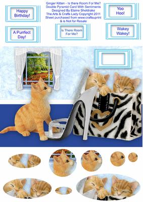 Ginger Kitten - is There Room for Me? Double Pyramid Card