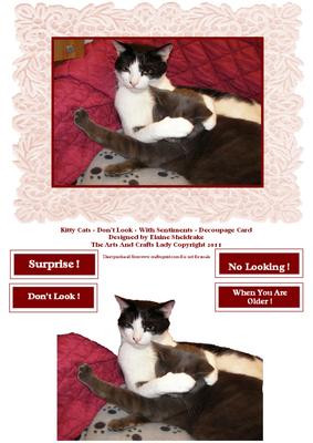 Kitty Cats - Don’t Look - with Sentiments - Decoupage Card