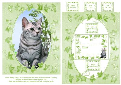 Silver Tabby Kitty Cat Frame Card with Sentiments & Gift Tag