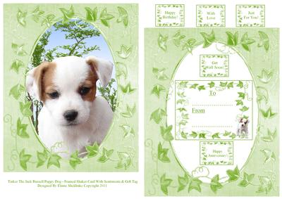 Tinker the Jack Russell Puppy Dog Frame Card & Sentiments