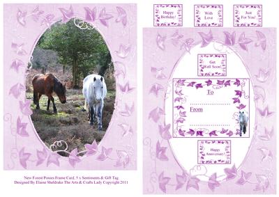 New Forest Ponies Frame Card & 5 x Sentiments & Gift Tag