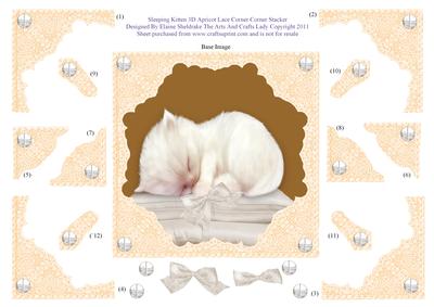 Sleeping Kitten 3D Apricot Lace Corner Corner Stacker