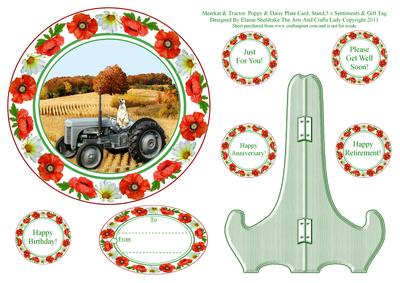 Meerkat & Tractor Poppy & Daisy Plate Card, Stand,5 x Senti