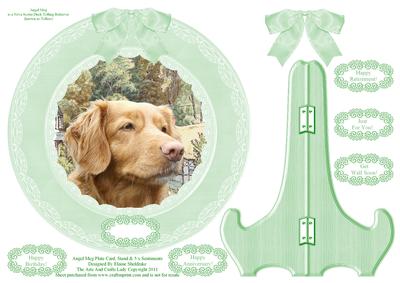 Angel Meg Toller Retriever Plate Card, Stand & Sentiments