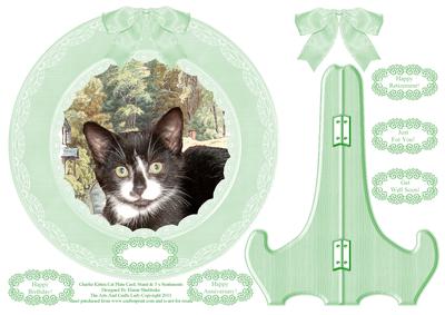 Charlie Black & White Kitten Plate Card, Stand & Sentiments