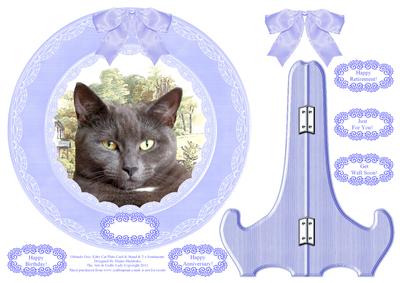 Orlando Grey British Shorthair Plate Card,stand & Sentiments