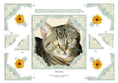 Albie the Tabby Kitten Decoupage Lace Frame Corner Stacker