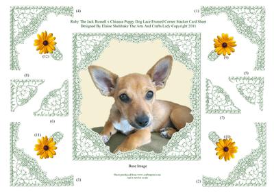 Ruby the Jack Russell Chiuhua Dog Decoupage Lace Frame Card