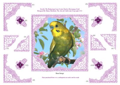 Scooby the Budgerigar Decoupage Lace Frame Corner Stacker