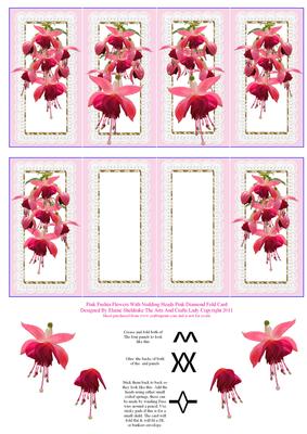 Pink Fuschia Flowers with Nodding Heads Pink Diamond Fold