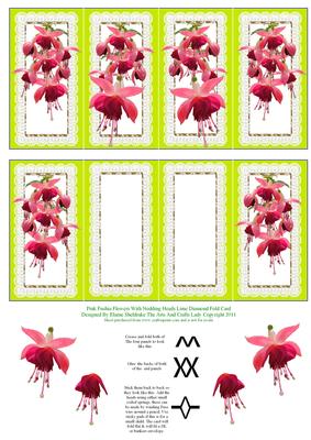 Pink Fuschia Flowers with Nodding Heads Lime Diamond Fold