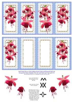 Pink Fuschia Flowers with Nodding Heads P Blue Diamond Fold