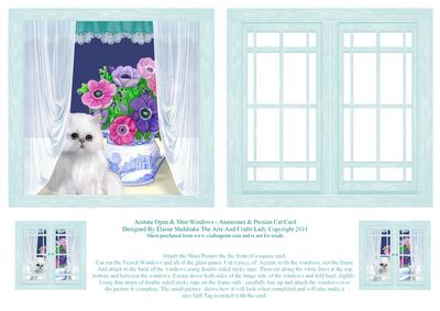 Acetate Open & Shut Windows - Anemones & Persian Cat Card