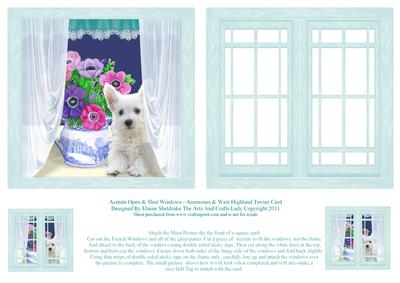 Acetate Open & Shut Windows - Anemones & Westie Dog Card