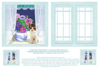 Acetate Open & Shut Windows - Anemones & Tabby Cat Card