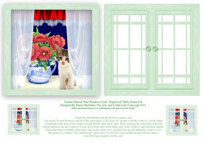 Acetate Open & Shut Windows Card - Poppies & Tabby Kitten