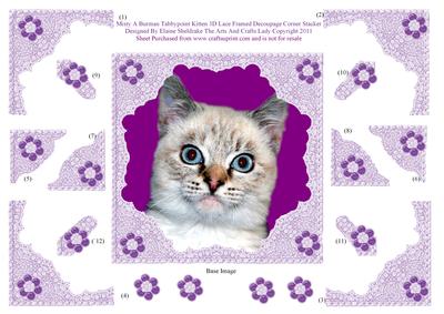 Misty a Burman Tabbypoint Kitten 3D Lace Framed Decoupage