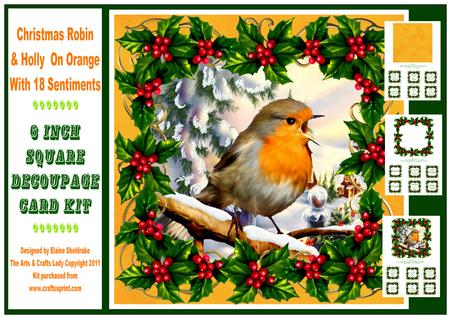 Christmas Robin & Holly Orange 6" Square Decoupage Card Kit