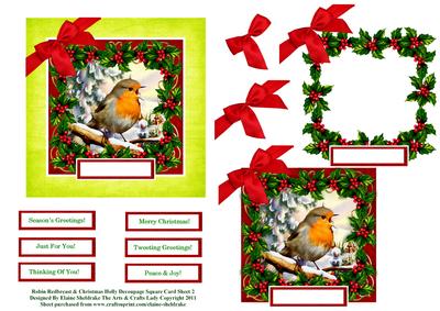 Robin Redbreast & Christmas Holly Decoupage Card Sheet 2