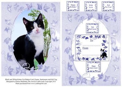 Black and White Kitten Cat Shaker Card, Frame, Sentiments An