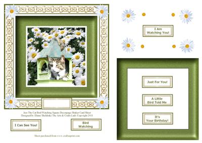 Jess the Cat Bird Watching Square Decoupage Shaker Card