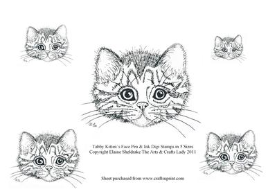 Tabby Kittens Face Pen & Ink Digital Stamps in 5 Sizes