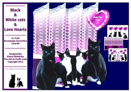 Black - White Cats - Love Hearts 4 Fold Concertina Card Kit