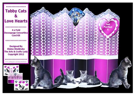 Tabby Cats and Love Hearts 4 x Fold Concertina Card Kit