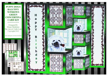 Puppy Dogs Balcony Windows Green Concertina Card Kit
