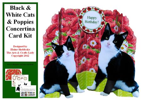 Black and White Cats and Poppies Concertina Card Kit