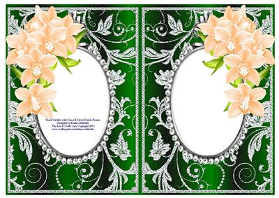 Peach Orchids with Green & Silver Diamonds Double Frames