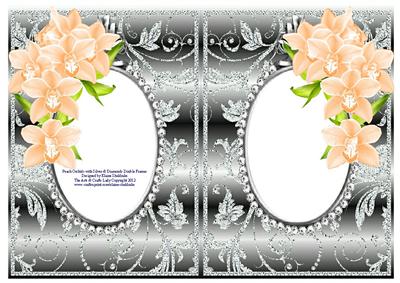 Peach Orchids with Silver & Diamonds Double Frames