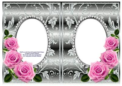 Pink Roses on Silver with Diamonds Double Frames
