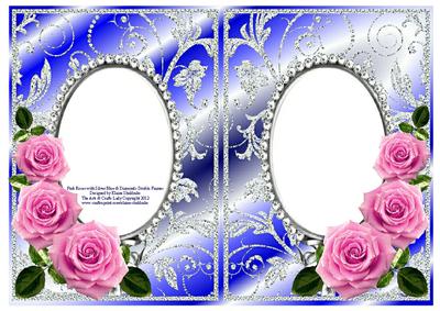 Pink Roses on Silver Blue with Diamonds Double Frames
