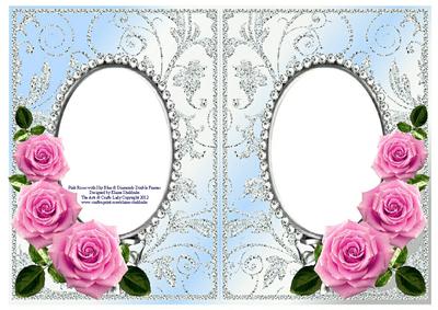 Pink Roses on Sky Blue with Diamonds Double Frames