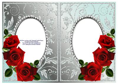 Red Roses on Aqua with Diamonds Double Frames
