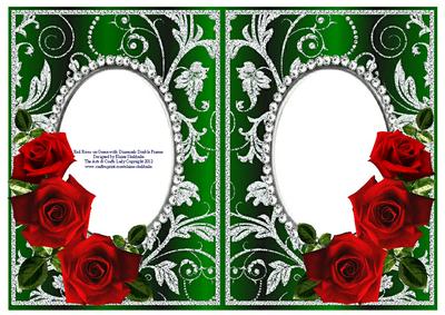 Red Roses on Green with Silver Diamonds Double Frames