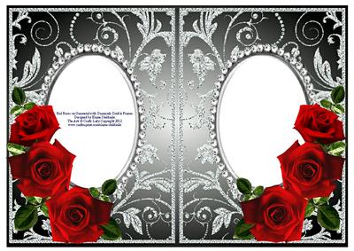Red Roses on Gunmetal with Silver Diamonds Double Frames