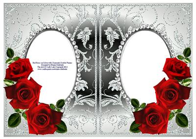 Red Roses on Silver with Diamonds Double Frames